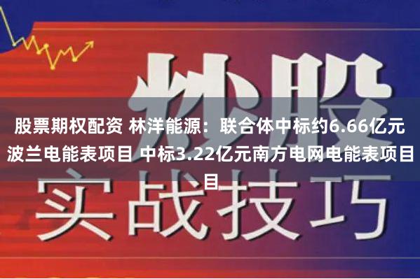 股票期权配资 林洋能源：联合体中标约6.66亿元波兰电能表项目 中标3.22亿元南方电网电能表项目